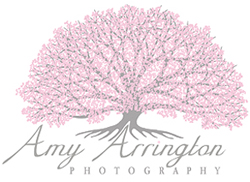 Amy Arrington Photography