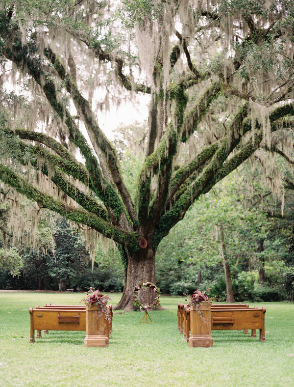 southern-wedding-ceremony-under-a-tree